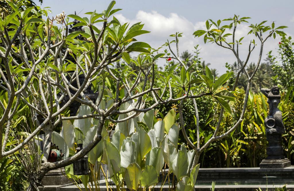 Graha Rusni Villa Ubud  Ruang foto